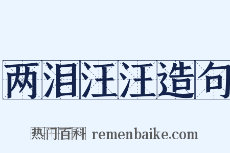 两泪汪汪造句是什么意思的图片